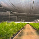 Tela Sombreamento 50% Sombrite 2,00 x 50 metros Horta Sombra