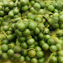Umbu Gigante 2,5Kg